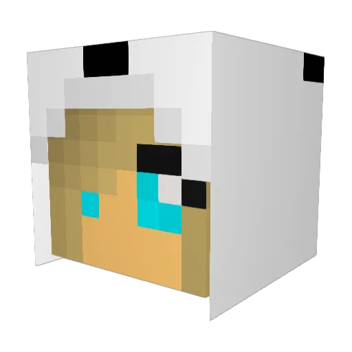 cookie_monsta_69 Minecraft avatar head, 3D render