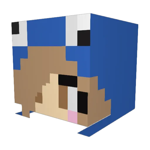cookiebear1011 Minecraft avatar head, 3D render