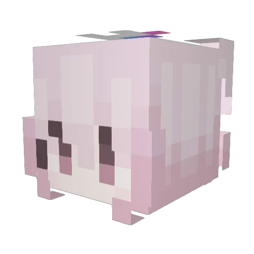 cookiecat58 Minecraft avatar head, 3D render