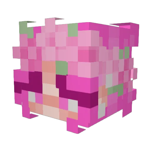 cookiecosmetics Minecraft avatar head, 3D render