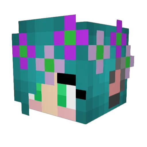cookiecrusher104 Minecraft avatar head, 3D render