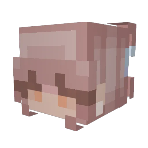 cookiedookie3 Minecraft avatar head, 3D render
