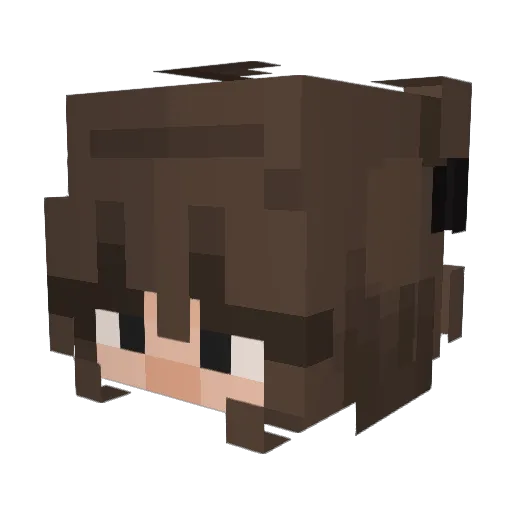 cookiegame2011 Minecraft avatar head, 3D render