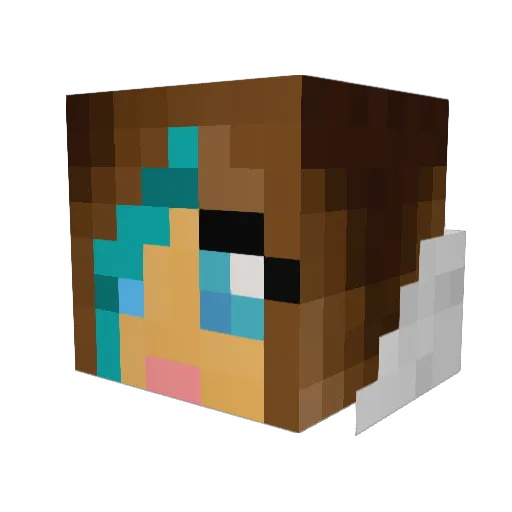 cookiegs Minecraft avatar head, 3D render