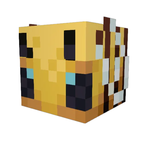 cookiehau Minecraft avatar head, 3D render