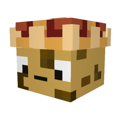 cookielegend3000 Minecraft avatar head, 3D render