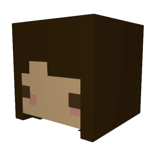 cookieloves311 Minecraft avatar head, 3D render