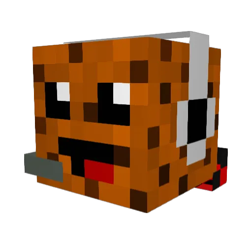 cookieman204 Minecraft avatar head, 3D render