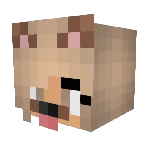 cookiemimi26 Minecraft avatar head, 3D render