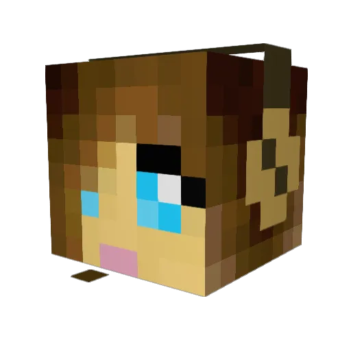cookiemonset Minecraft avatar head, 3D render