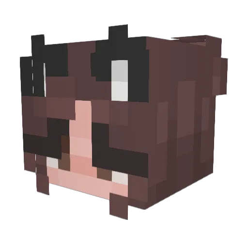 cookiemonster18 Minecraft avatar head, 3D render