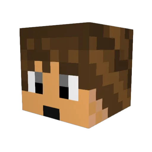 cookiemonster718 Minecraft avatar head, 3D render