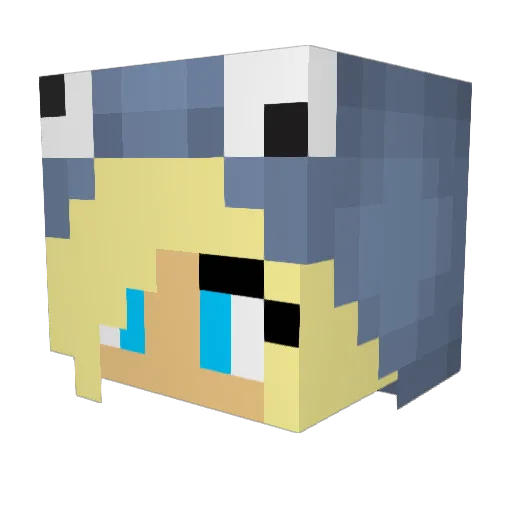 cookiemonster_4 Minecraft avatar head, 3D render