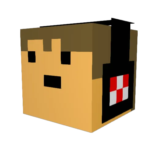 cookienator808 Minecraft avatar head, 3D render