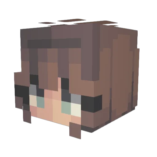 cookies31415 Minecraft avatar head, 3D render
