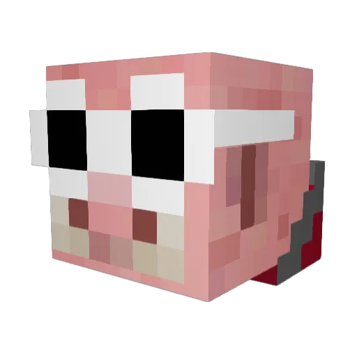 cookiesRgood12 Minecraft avatar head, 3D render