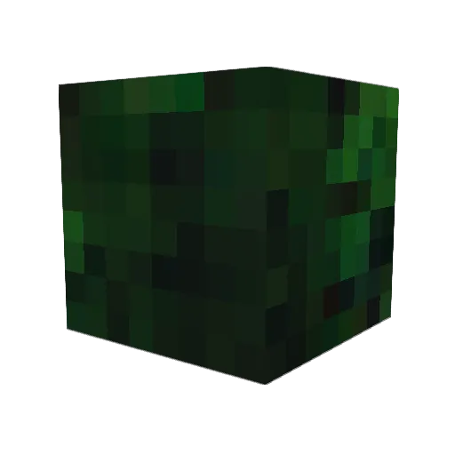 cookietank Minecraft avatar head, 3D render