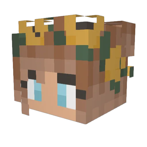 cookietwix Minecraft avatar head, 3D render