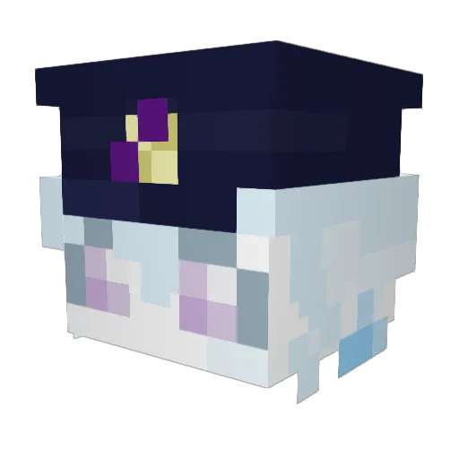 cookiewaffles08 Minecraft avatar head, 3D render