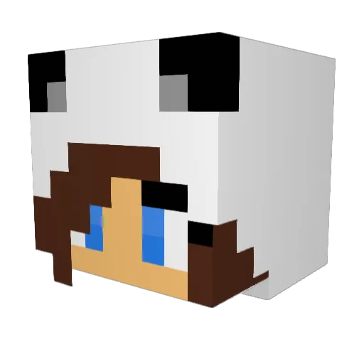 cookiezrool Minecraft avatar head, 3D render