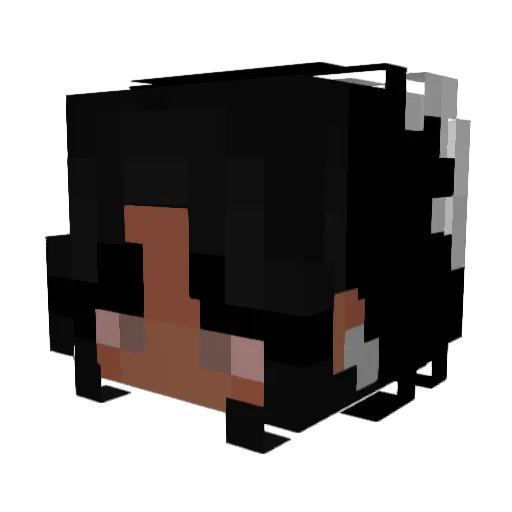 cookixl Minecraft avatar head, 3D render