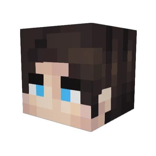 cooksey1993 Minecraft avatar head, 3D render
