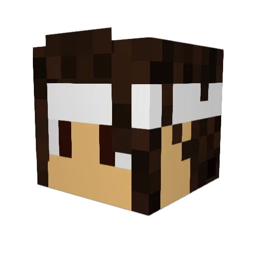 cookycream201 Minecraft avatar head, 3D render