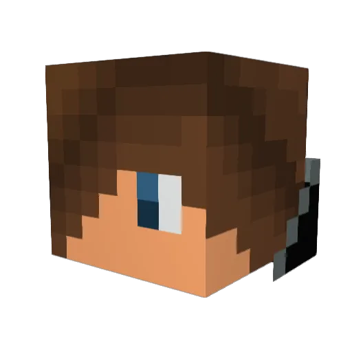 cool100078 Minecraft avatar head, 3D render