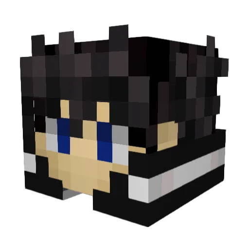 cool10007 Minecraft avatar head, 3D render