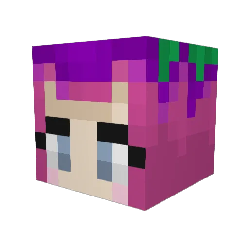 cool9626 Minecraft avatar head, 3D render