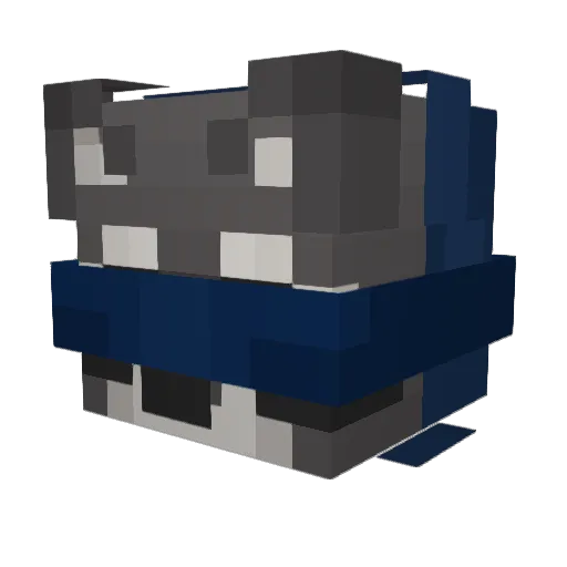 coolBrew6 Minecraft avatar head, 3D render