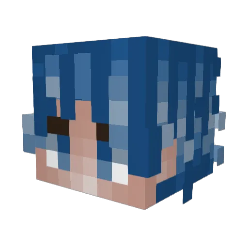coolPixelsTrue1 Minecraft avatar head, 3D render