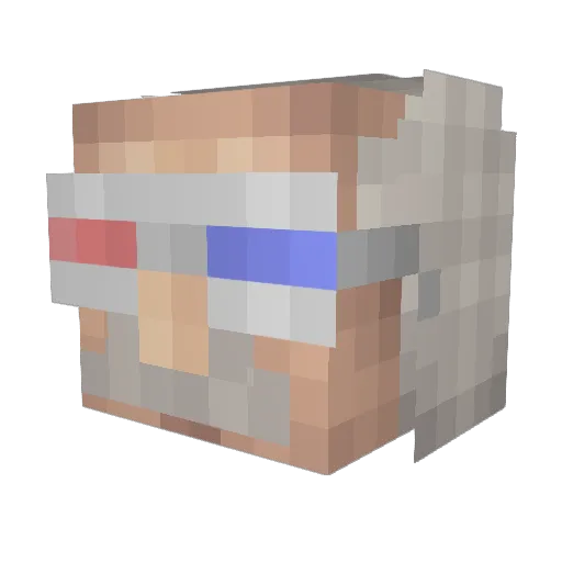 cool_einstein Minecraft avatar head, 3D render