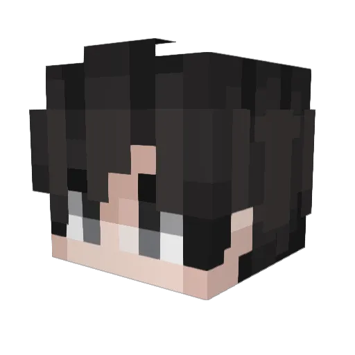 cool_enderman8 Minecraft avatar head, 3D render