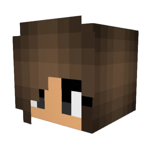 cool_soccer_pro Minecraft avatar head, 3D render