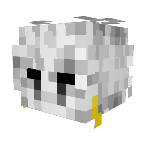 cool_tacoman Minecraft avatar head, 3D render