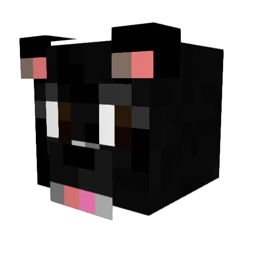 cool_woozoo Minecraft avatar head, 3D render