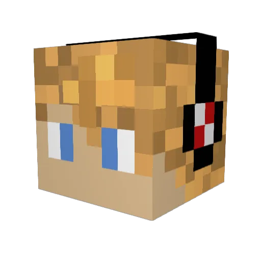 coolaap Minecraft avatar head, 3D render