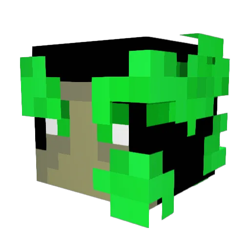coolalex64 Minecraft avatar head, 3D render