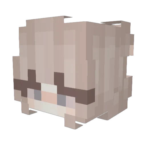 coolantay Minecraft avatar head, 3D render