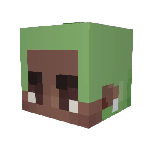 coolapojken Minecraft avatar head, 3D render