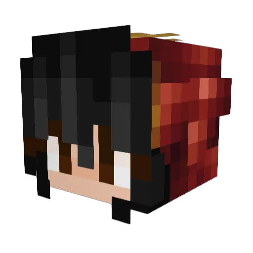 coolasima Minecraft avatar head, 3D render