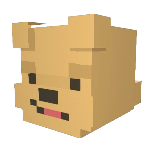 coolboy1208 Minecraft avatar head, 3D render