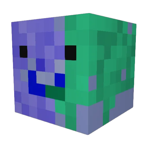 coolboy137 Minecraft avatar head, 3D render