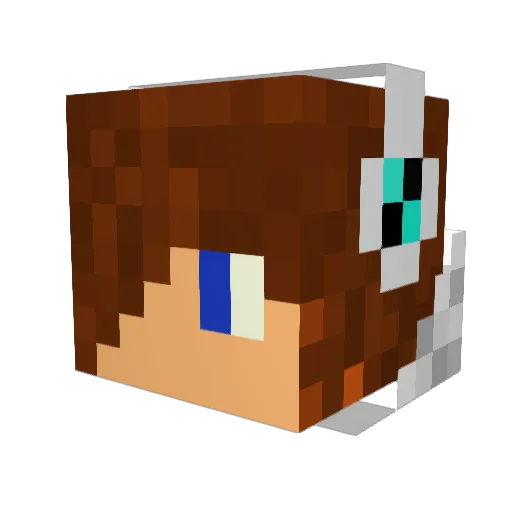 coolboy829 Minecraft avatar head, 3D render