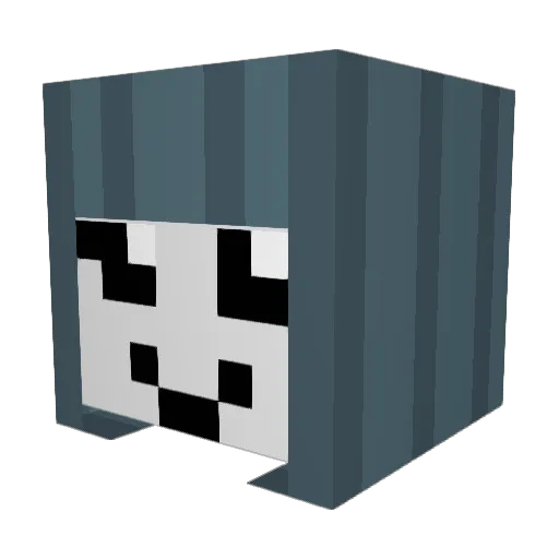 coolboyash08 Minecraft avatar head, 3D render