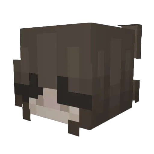 coolboyswagg Minecraft avatar head, 3D render