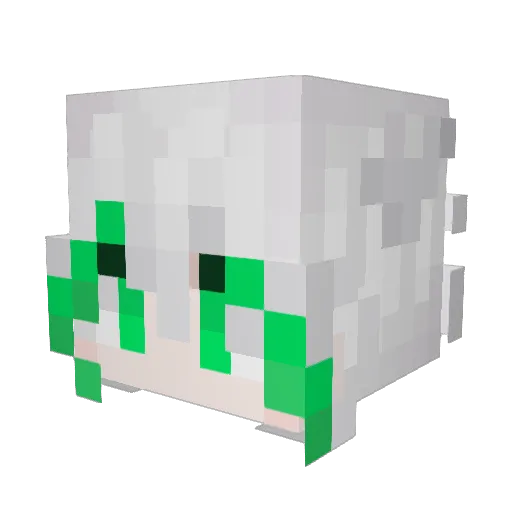 coolbreeze084 Minecraft avatar head, 3D render