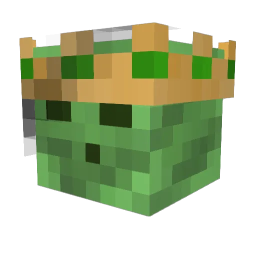 coolbros Minecraft avatar head, 3D render