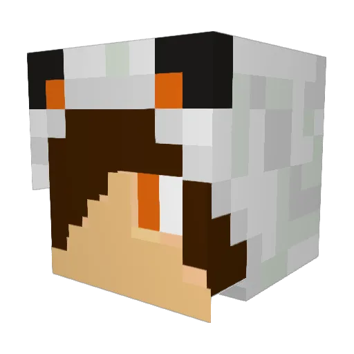 coolbuilder60 Minecraft avatar head, 3D render